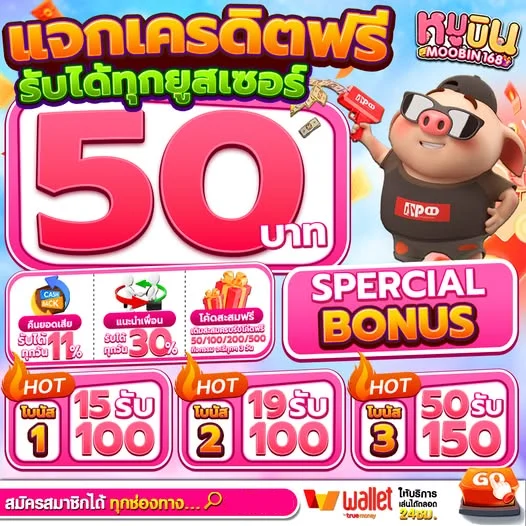 หมู บิน สล็อต.4
